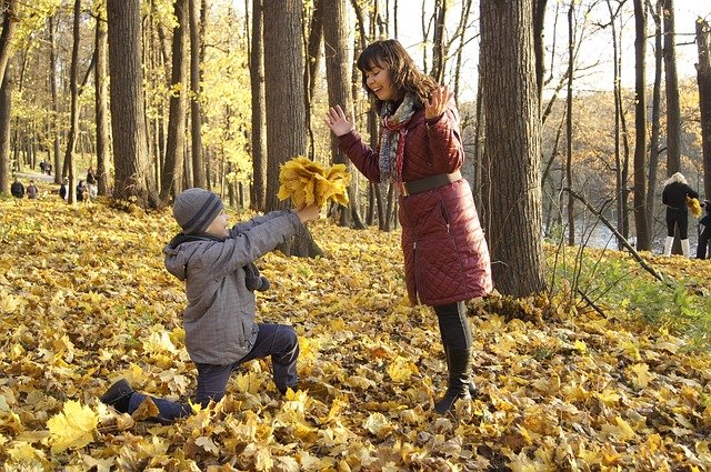 Balades, familles, enfants, forêt, feuilles, détente