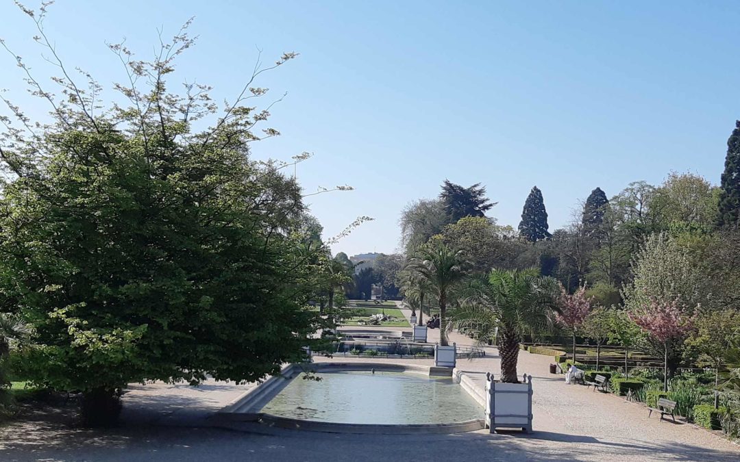 JARDIN DES PLANTES – Vendredi – Adultes