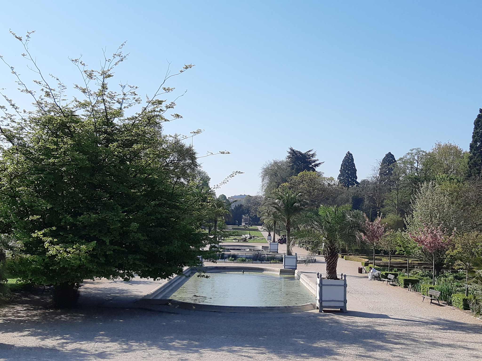 Détente, parc, jardin, oxygène