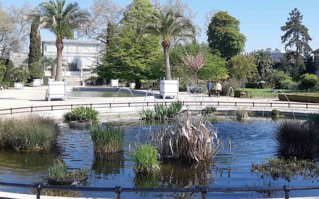 JARDIN DES PLANTES – Lundi – Adultes