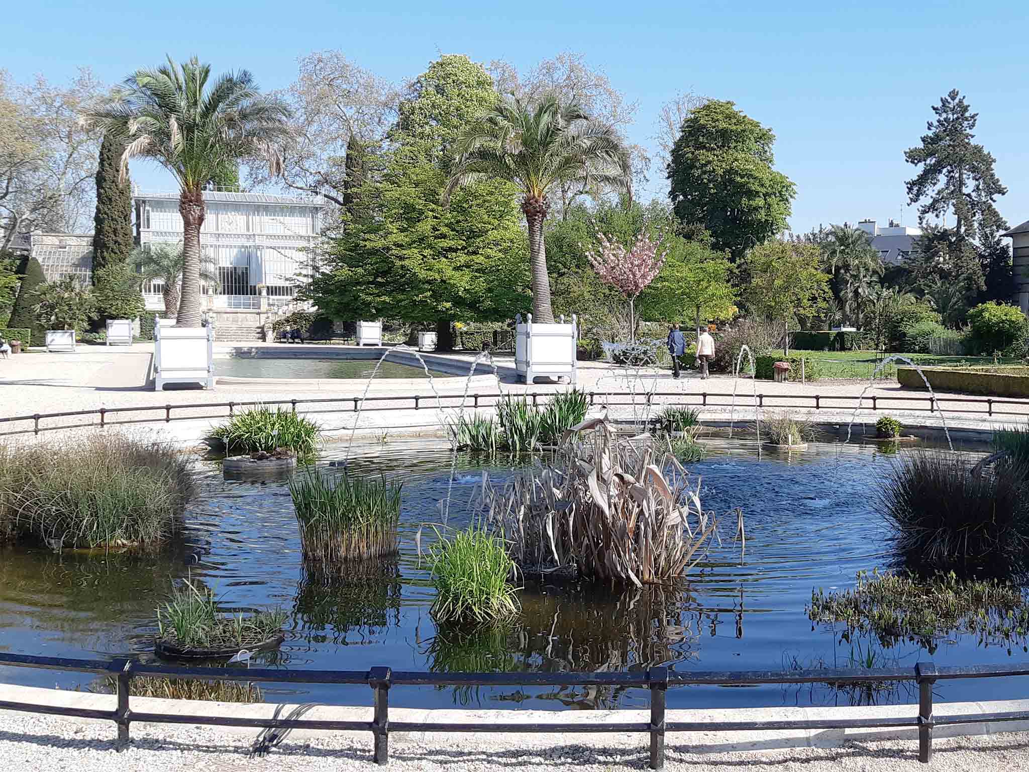 Détente, parc, jardin, oxygène